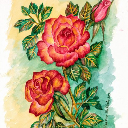 Rose in red