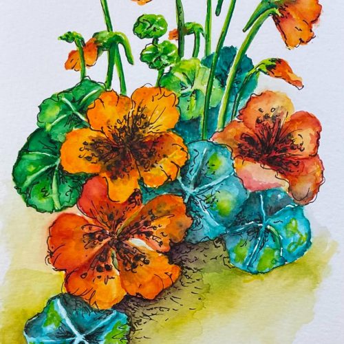 Nasturtium